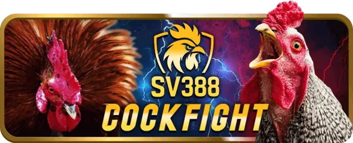 Theo dõi lịch sử giao dịch 78bet